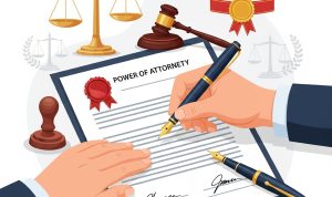 WhatsApp Image 2025-07-23 at 16.29.36