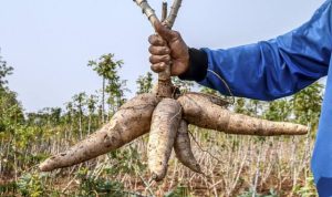 WhatsApp Image 2025-08-20 at 23.04.04 (1)