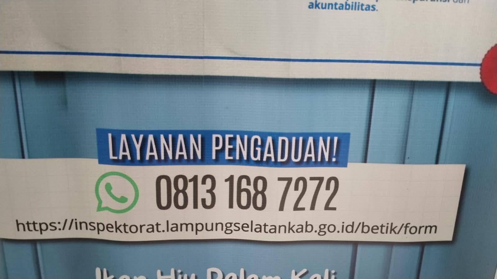 WhatsApp Image 2026-08-31 at 16.26.34